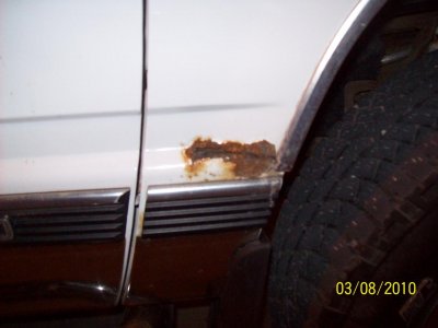 PS Fender.jpg