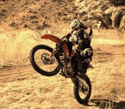 wheelie.jpg