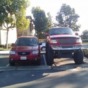 Random pics