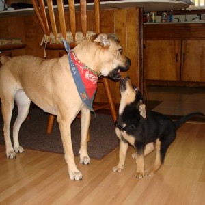 Willow and Lilly