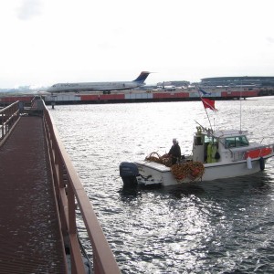 LGA Inspection