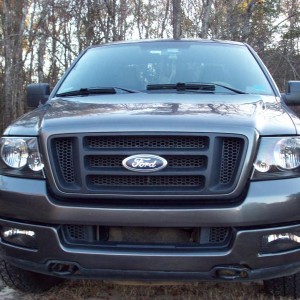 New Heads & Painted Fogs
