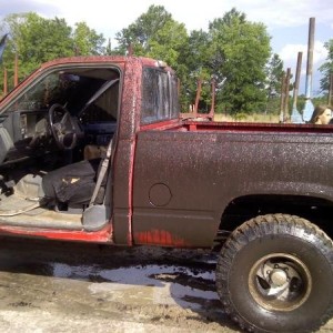 new doors on