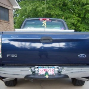 A little look from the rear
