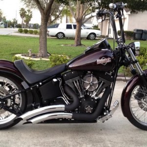Updated pics of the Harley