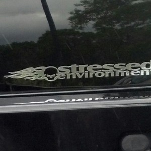 Stressed Environment Silverado