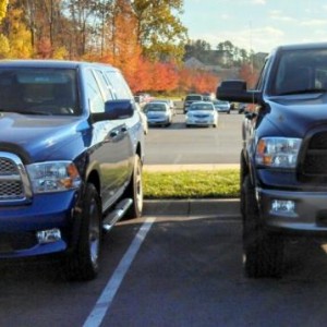 compare