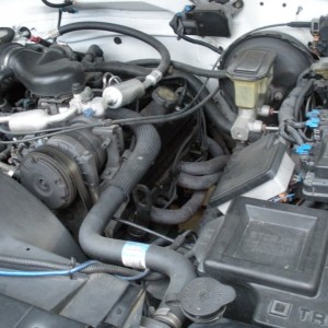 DSCN1585