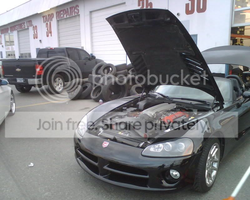 IMG01330.jpg