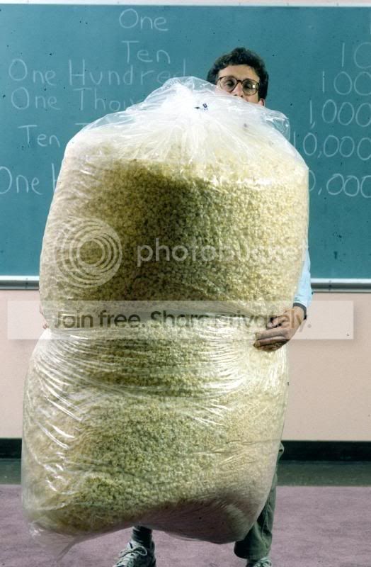 PopcornGiantBag.jpg