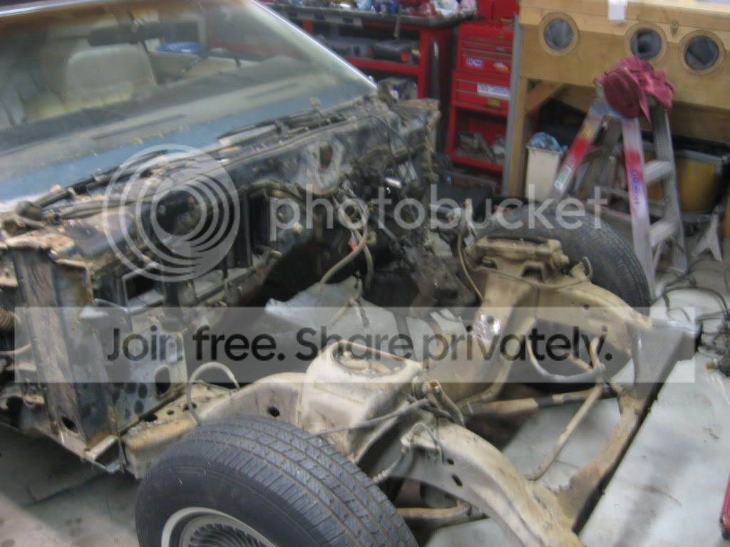 IMG_0442.jpg