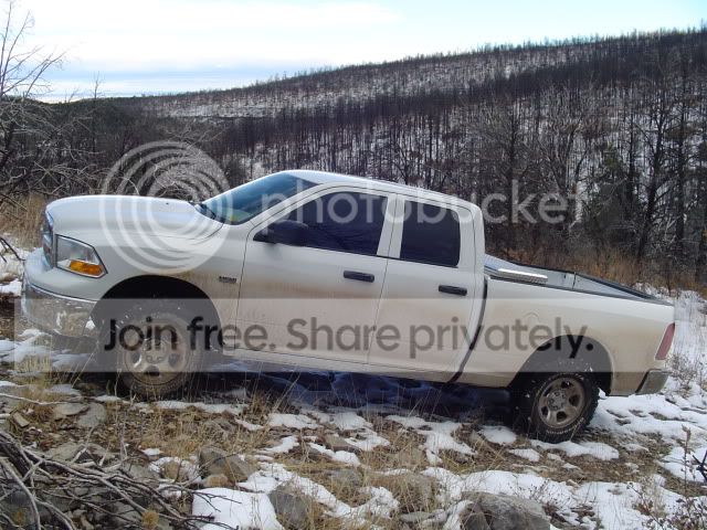 Winter2010016.jpg