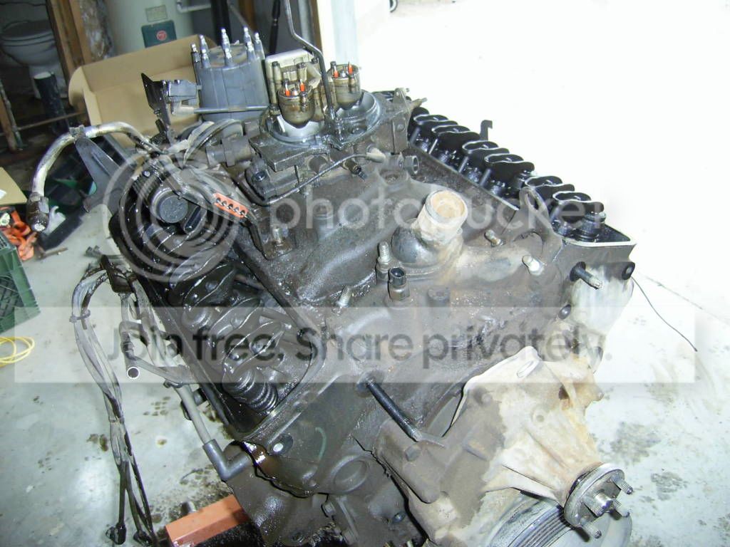 SA400016-8.jpg