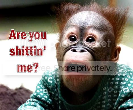 MonkeyShitBomb.jpg