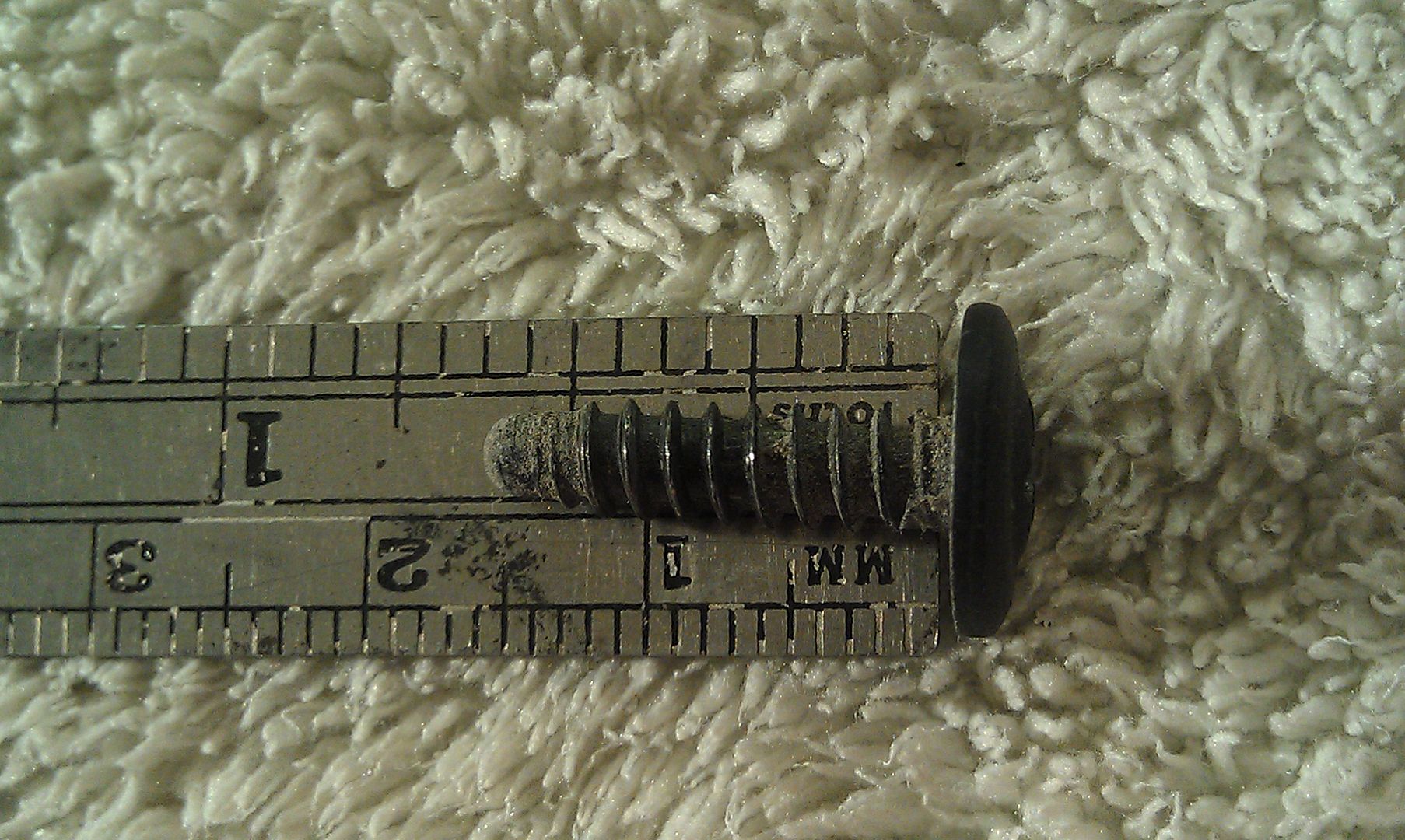 IMAG0205.jpg