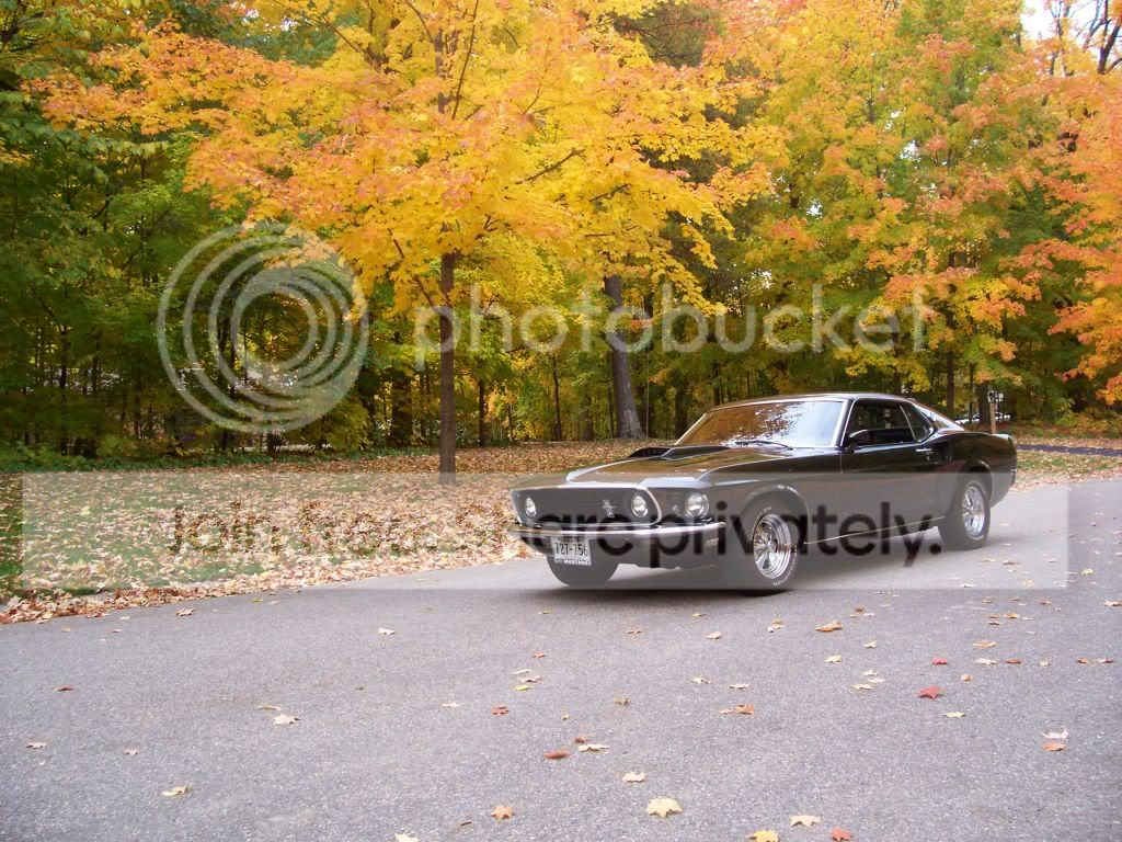 fallpics004.jpg