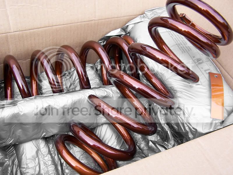 csprings_copper1.jpg