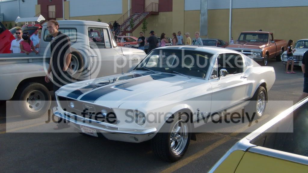 cruisenight08013.jpg