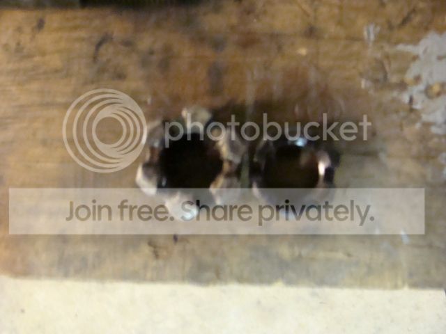 DSC08266_zps4ef14ae1.jpg