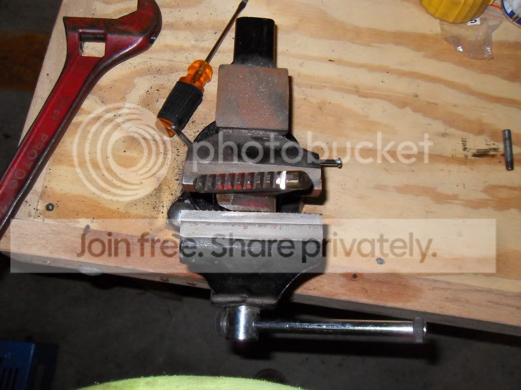 SDC10133.jpg