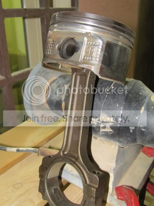IMG_0221-2.jpg