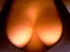 30.gif