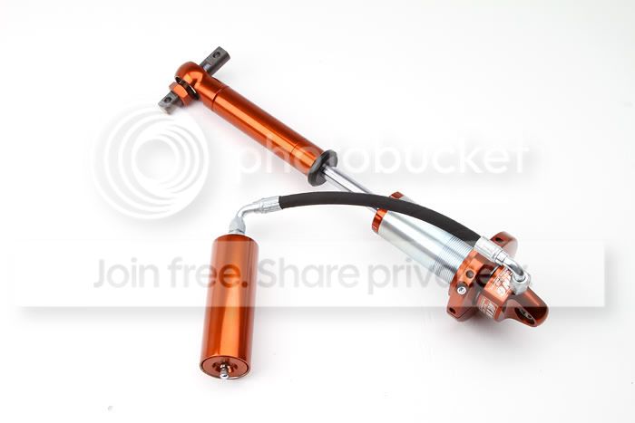 King_Shocks_IMG_4329.jpg