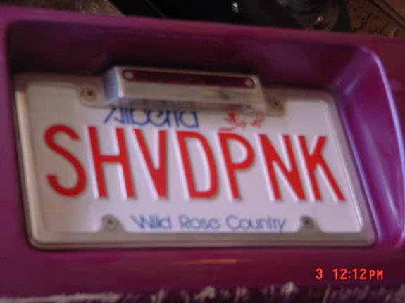 funny-license-plates-shaved-pink.jpg