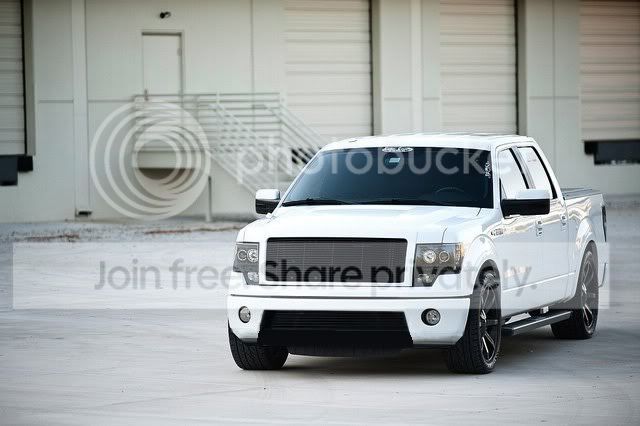 famous_limitedbumper1-0-1.jpg