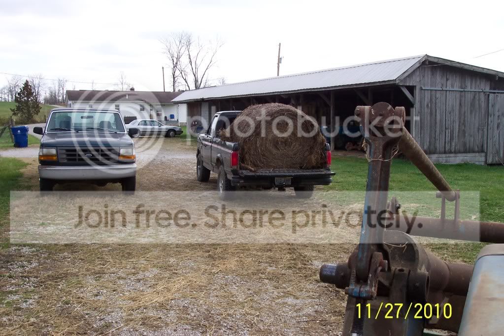 mypics009.jpg