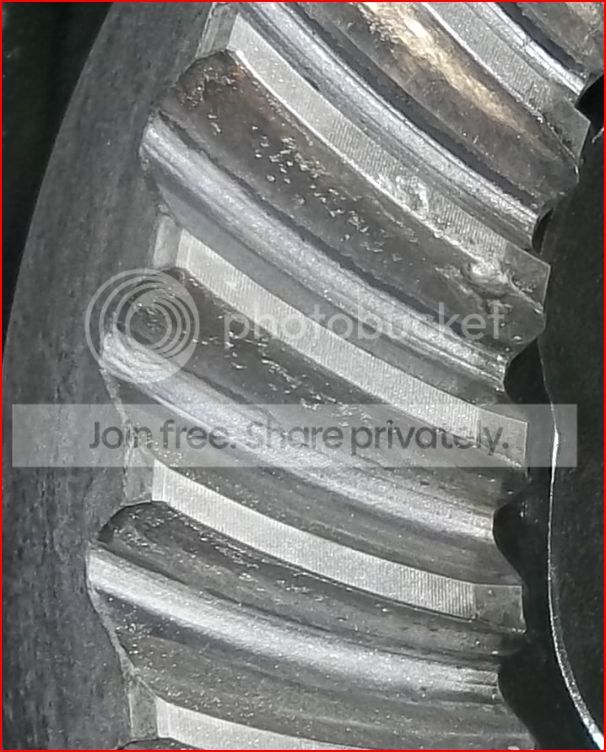 Spalding_zpsabe4fe20.jpg