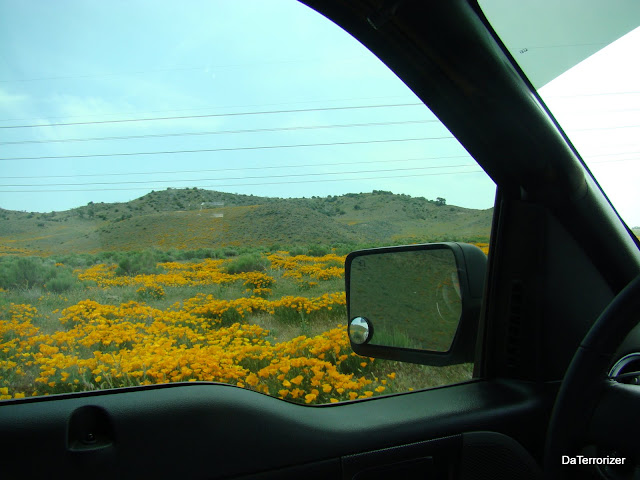 DSC00475.JPG