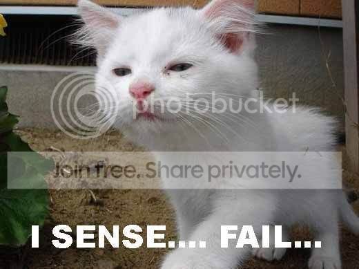 FAIL-cat-I-sense-fail.jpg