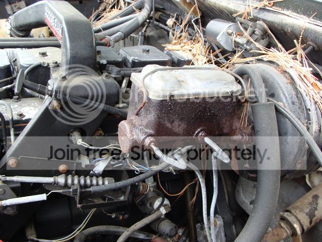 DSC08272_zpsa7ac84b4.jpg