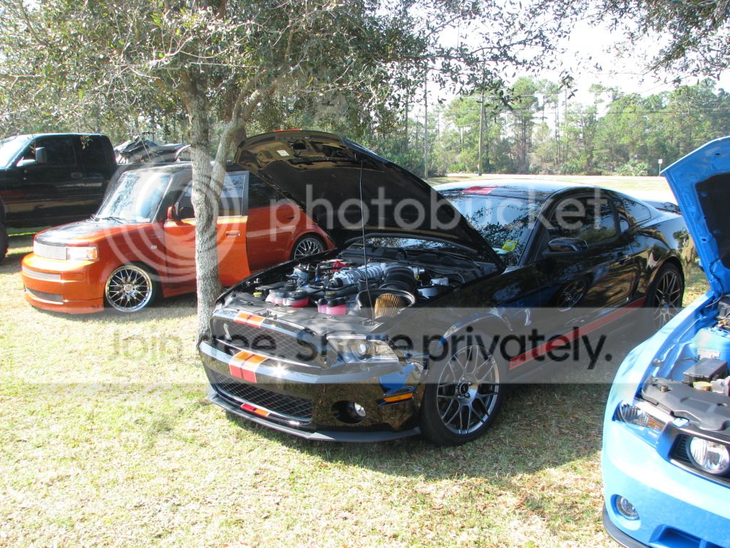 IMG_9494.jpg
