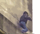 failed.gif