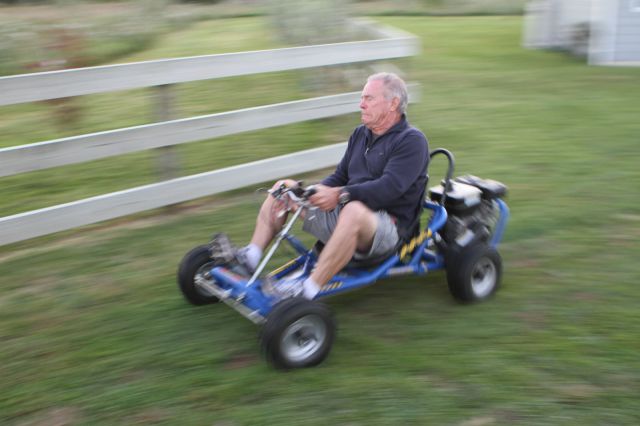 gocart.jpg