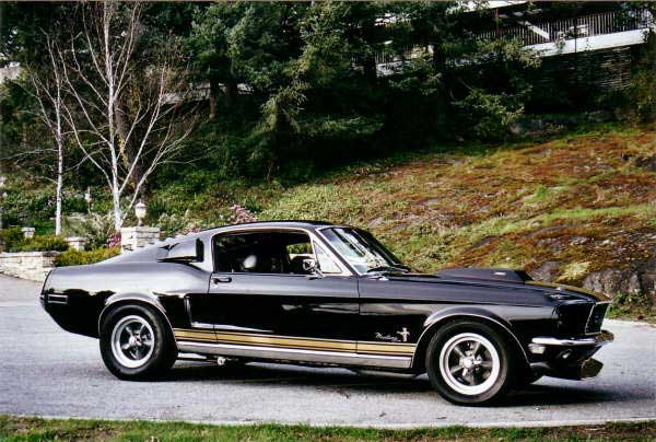 42768blackgoldside.jpg