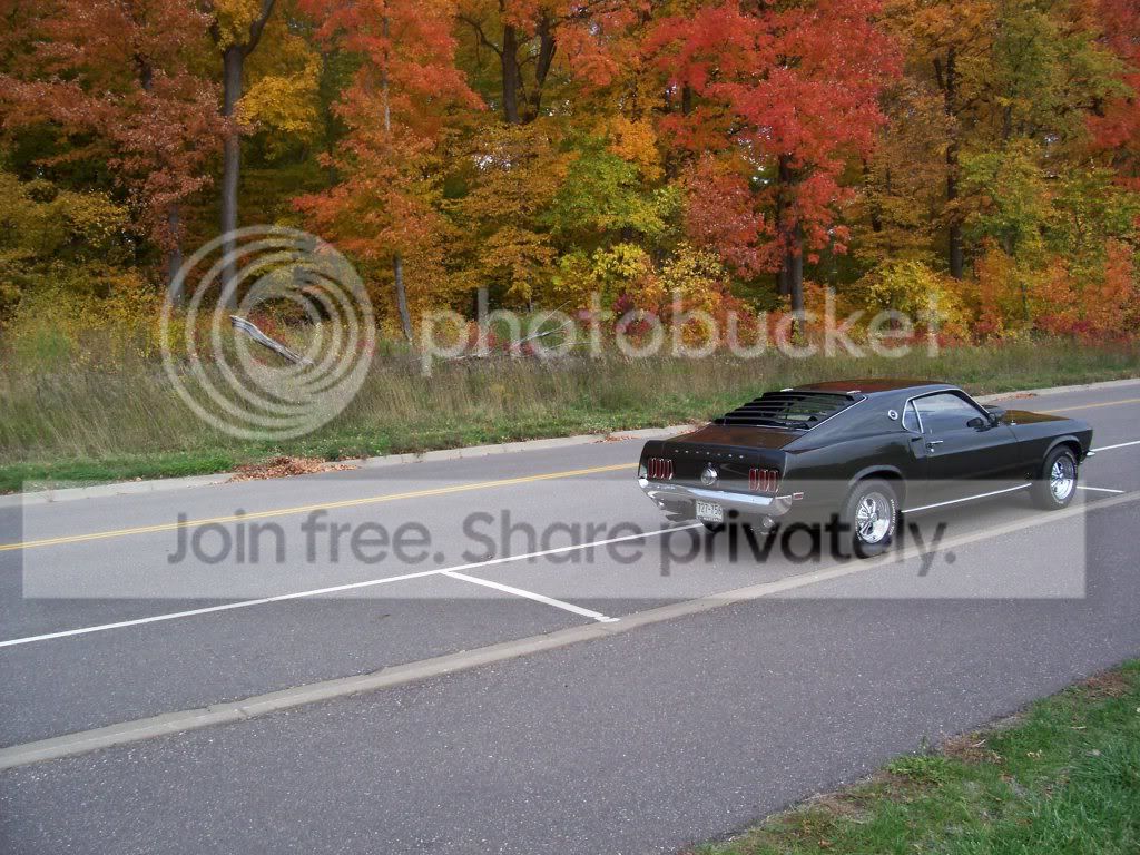 fallpics003.jpg
