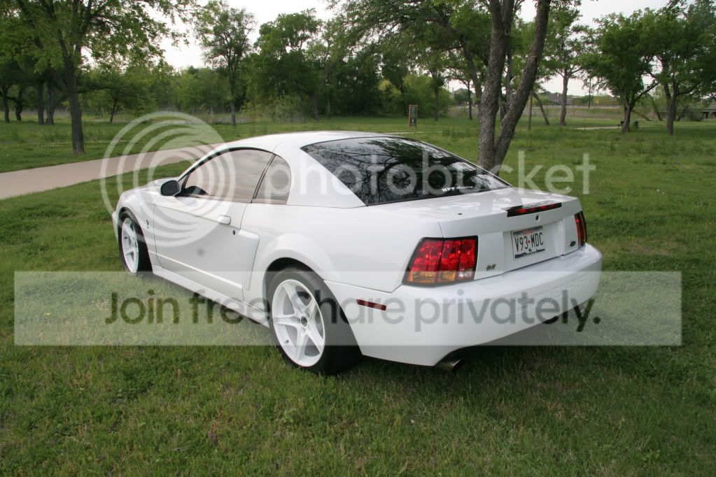 01Cobra6.jpg