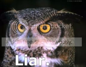 liar.jpg