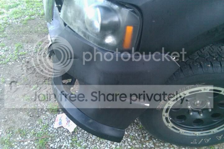 Dsidebumper.jpg