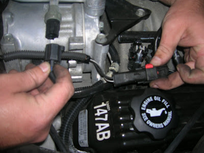 DSCN4204.JPG