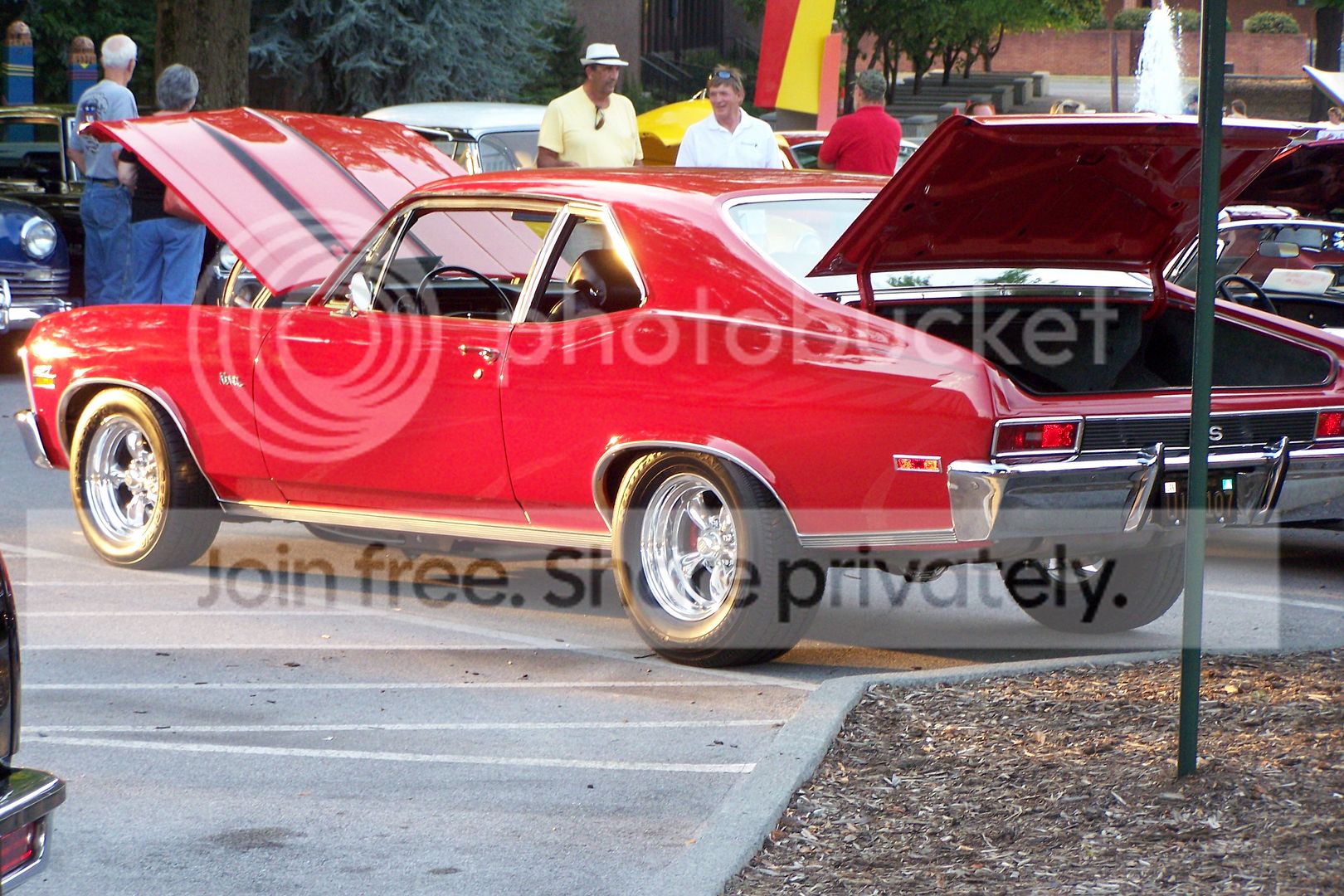 100_2020-Copy.jpg