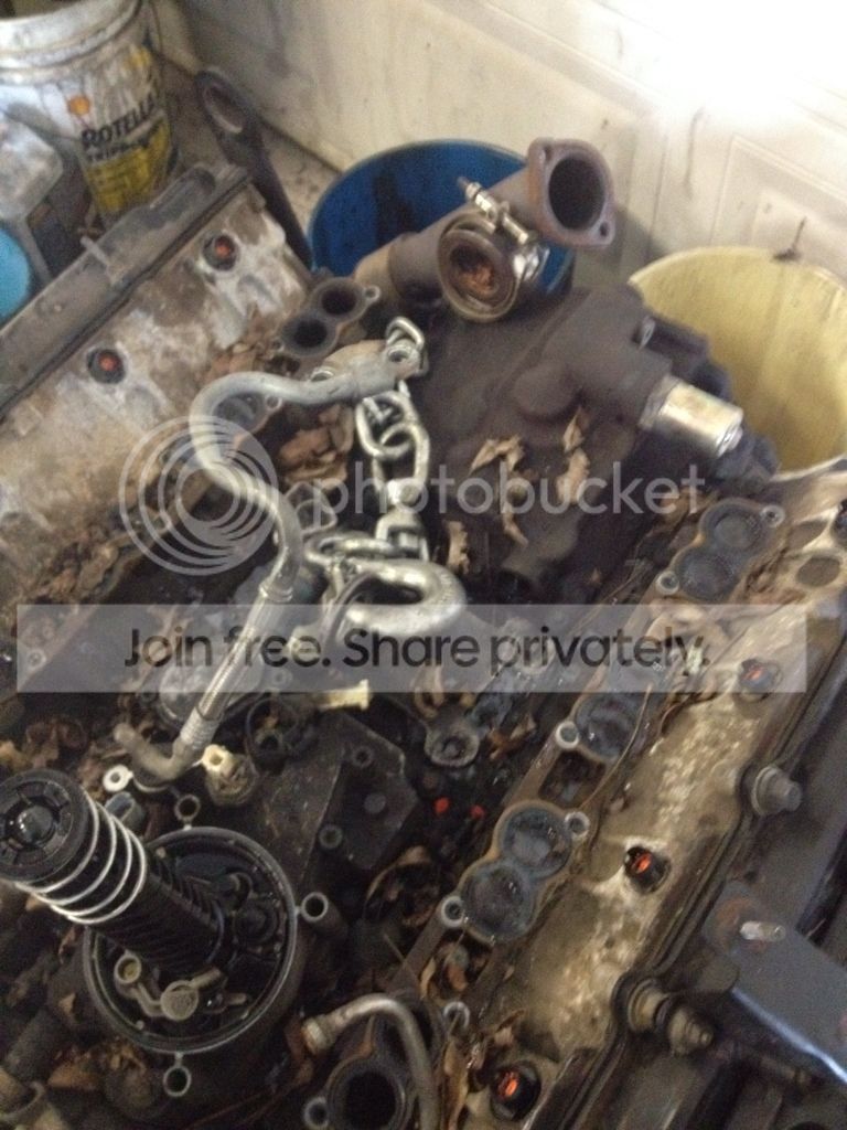 825f4428.jpg