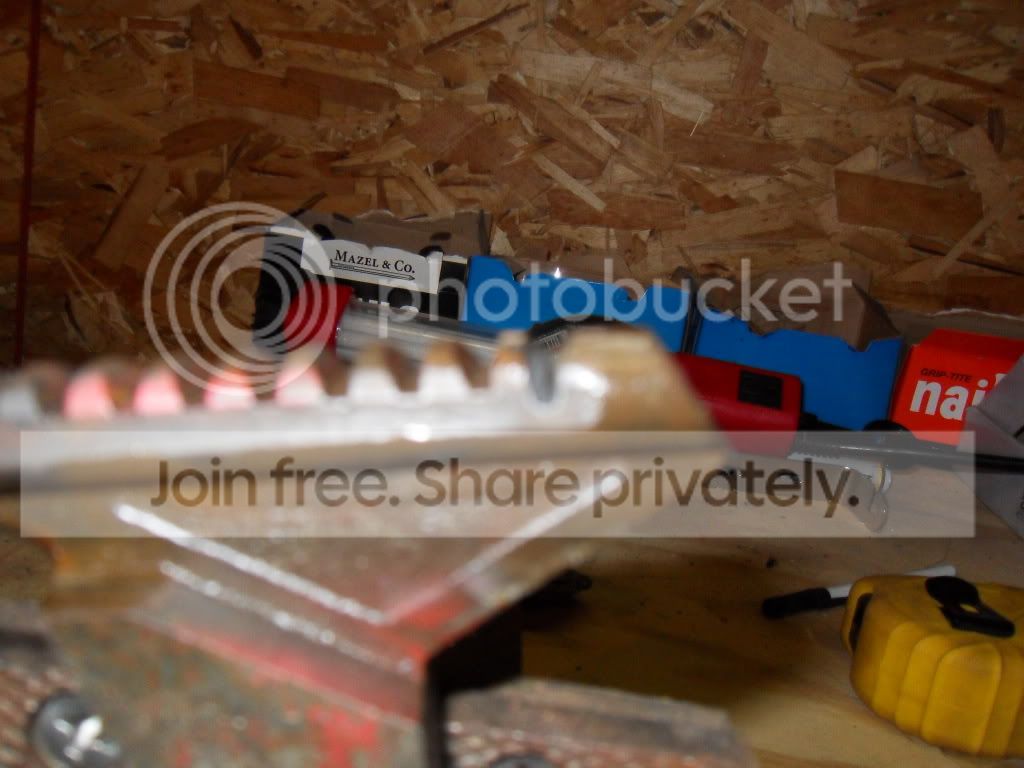 SDC10131.jpg