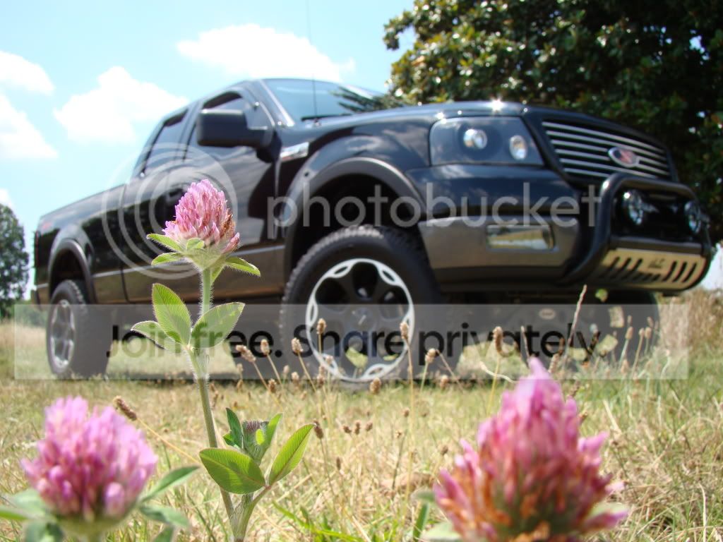 DSC02211.jpg