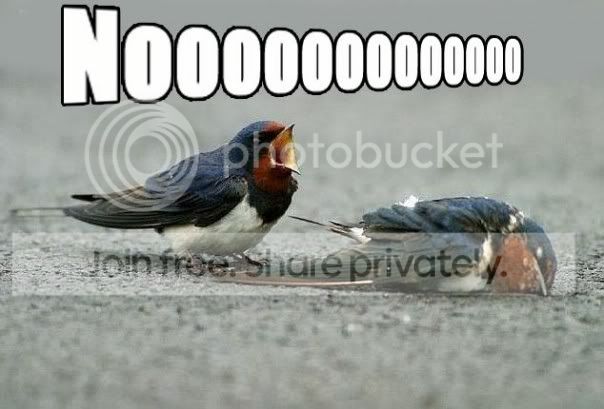 nooo.jpg