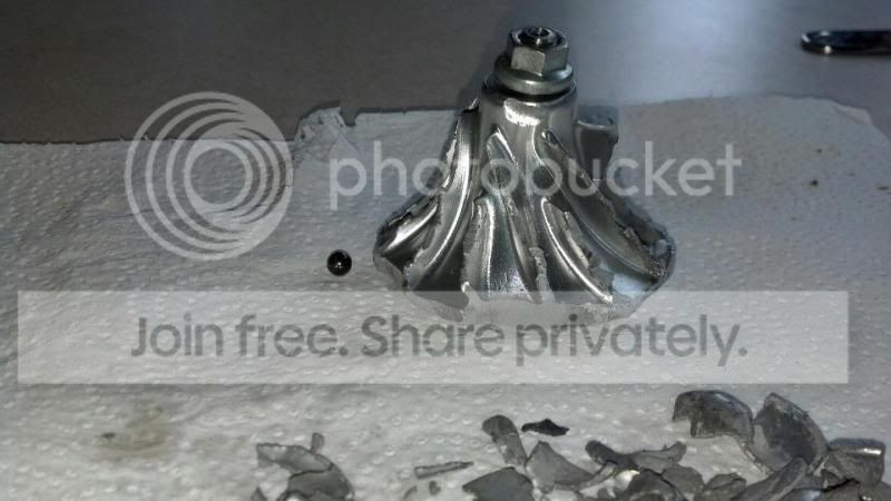 483807_628642967151686_1698264591_n_zpsc5de0b03.jpg