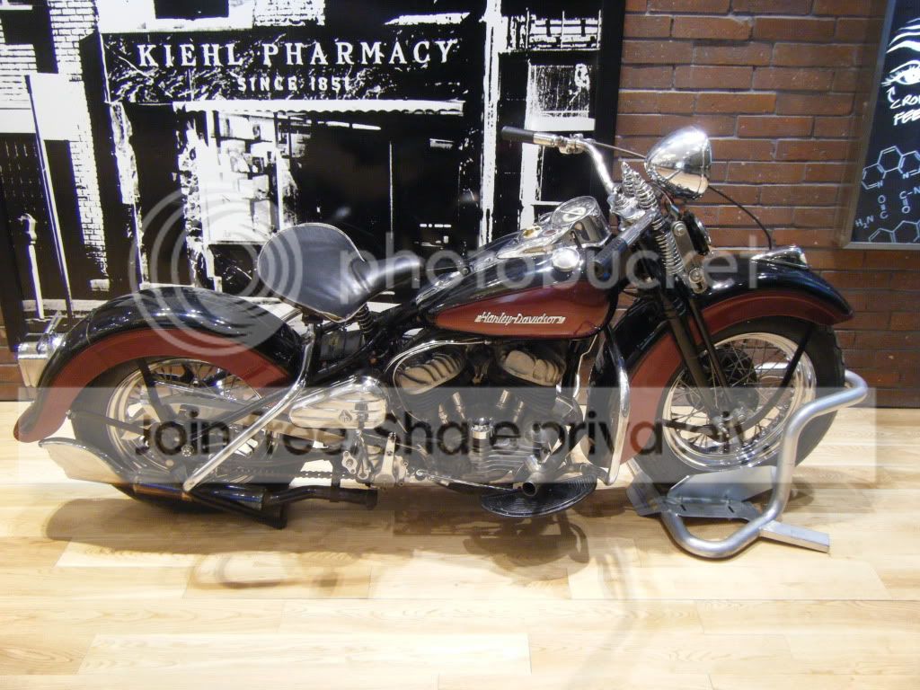 DSCF2174.jpg
